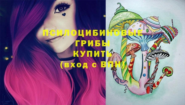 apvp Медвежьегорск