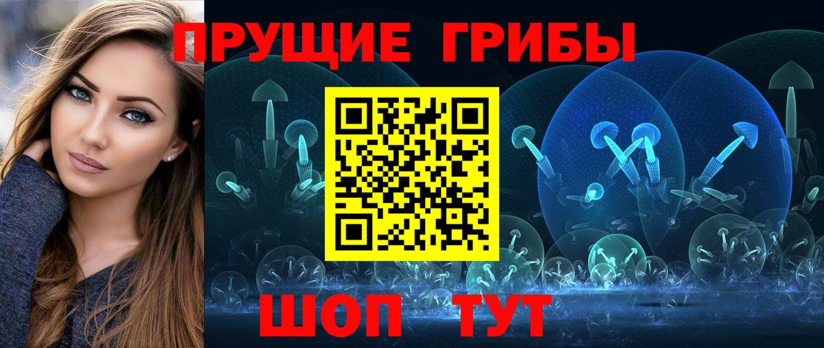 Галлюциногенные грибы Psilocybe  Ступино 