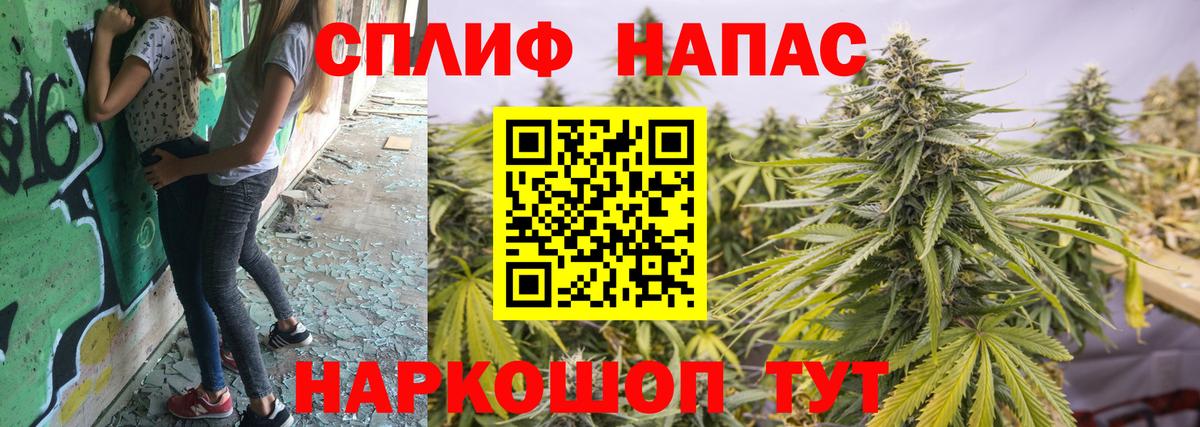 Шишки марихуана ГИДРОПОН  Ступино  Бошки марихуана конопля  Конопля гибрид 